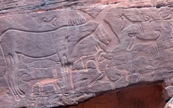 Ханаанская собака: Древний друг израильтян. Судьба заставила их заново одичать, но после снова вернуться на службу