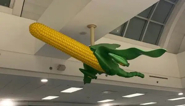 Подборка любопытных кадров из аэропортов