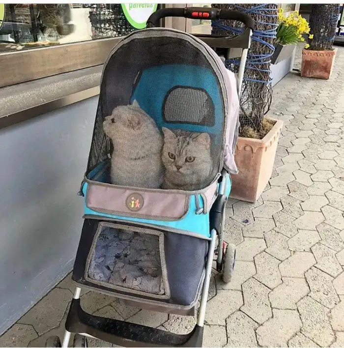 "Дал Бог зайку - даст и лужайку": бестактные вопросы от родственников о том, когда будут дети