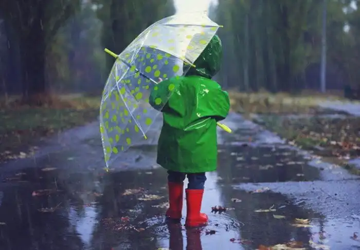 Как предсказывают погоду метеорологи и почему их прогнозы так часто не сбываются?