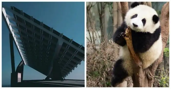 15 ответов на вопрос “Что хорошего происходят в мире прямо сейчас?”