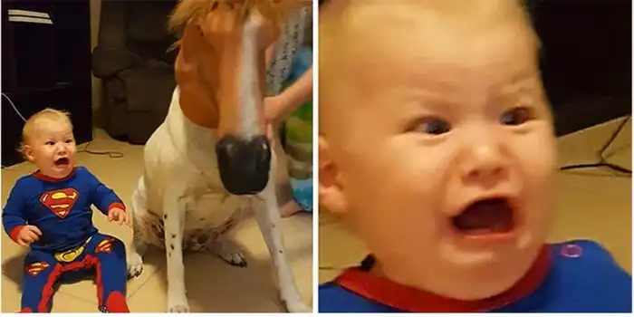 Шутки от родителей-троллей, у которых все в порядке с чувством юмора