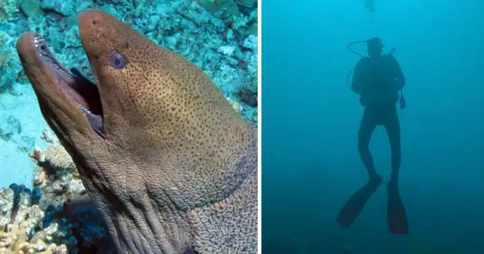 20 жутких историй, рассказанных дайверами и прочими любителями воды