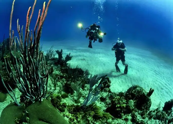 20 жутких историй, рассказанных дайверами и прочими любителями воды
