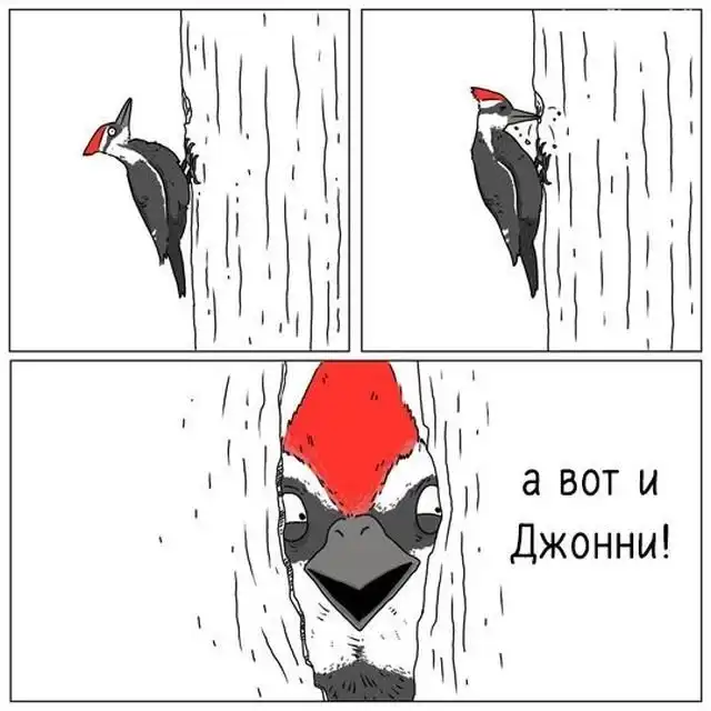 "Если бы они могли говорить": забавные комиксы о животных