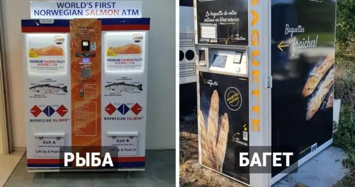 17 торговых автоматов, которые вышли на новый уровень