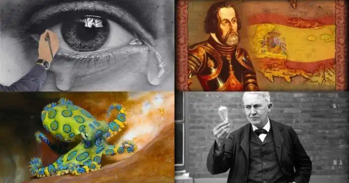 Бесчувственный мозг, Nike из вафельницы и другие любопытные факты из разных сфер