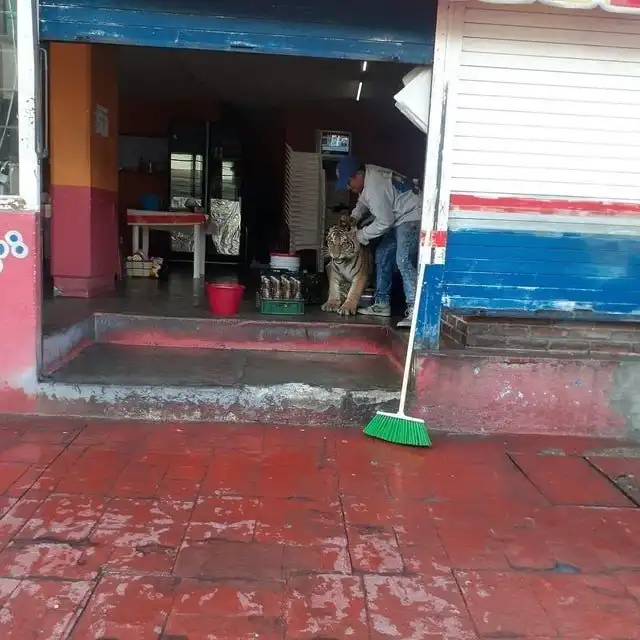 14 странных фотографий, на которых происходящее не поддается логике