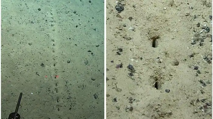 «Высверлили по линейке». На дне океана нашли дыры, о происхождении которых ученые ничего не знают