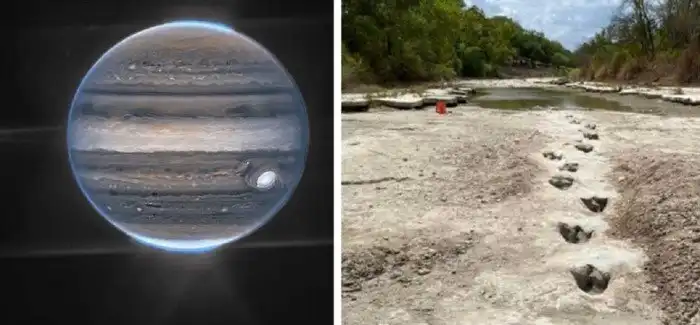 20+ поразительных картинок нашего удивительного мира