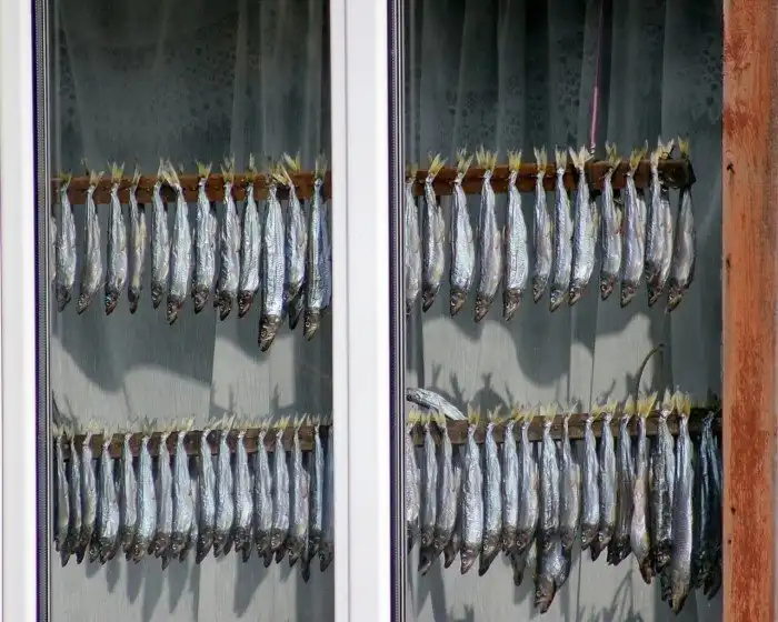 Зачем нужен телевизор, если есть окно? Пост о необычных окнах