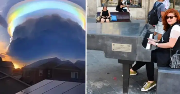 15 необычных ситуаций, которые не увидишь каждый день