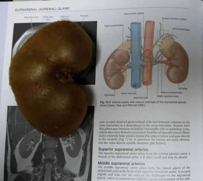 20 изображений, которые совсем не то, что кажется на первый взгляд