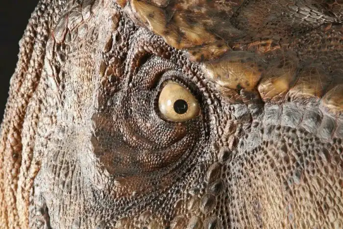 Неприличные динозавры