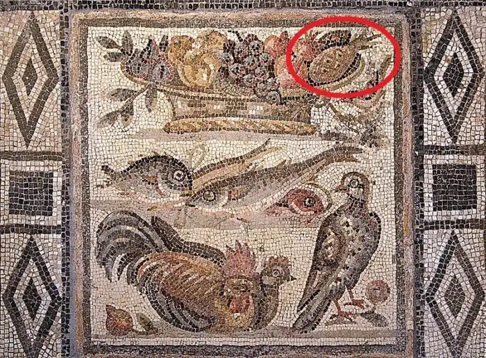 Парадокс с ананасом. Как фрукт из Южной Америки попал на мозаику в Древнем Риме