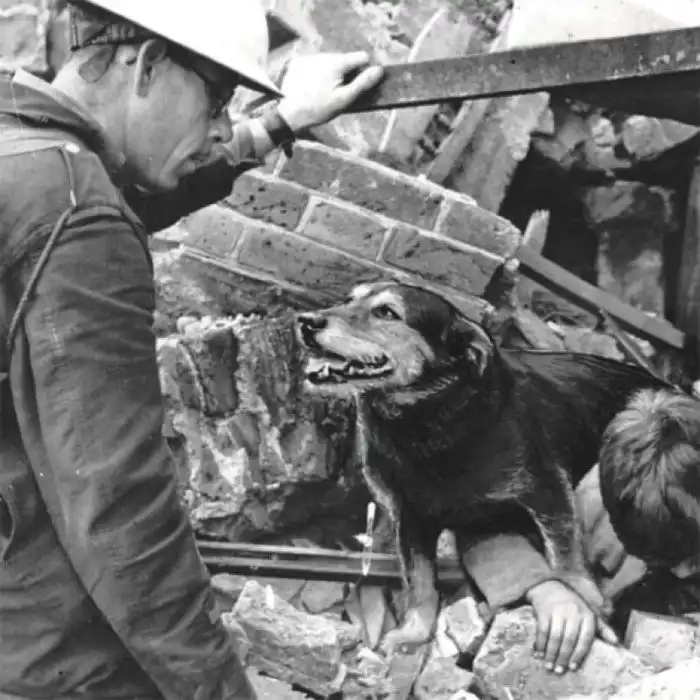 25 занимательных фактов, которые откроют для вас что-то новое