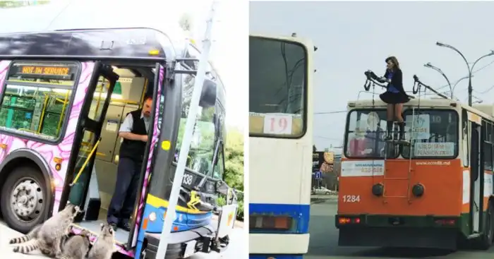 Общественный транспорт: острые ощущения гарантированы