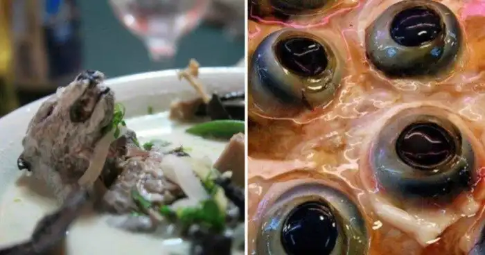 Неприятного аппетита: шокирующие блюда со всей планеты