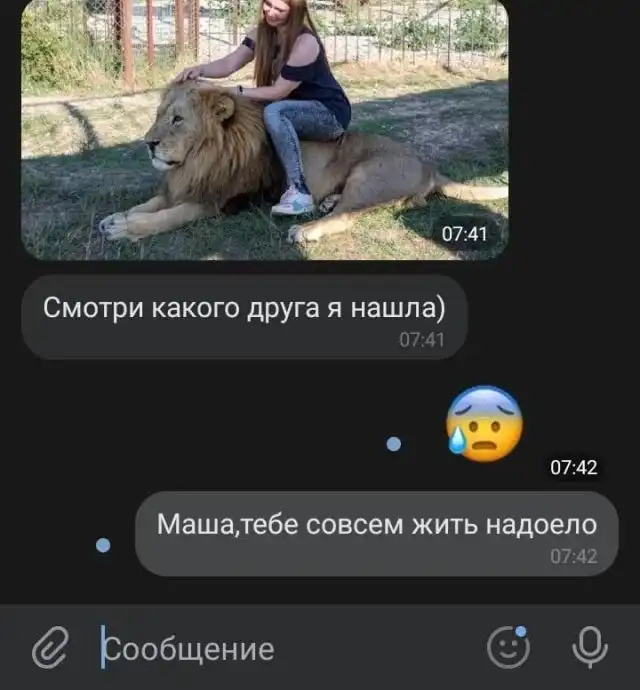 Смешные переписки