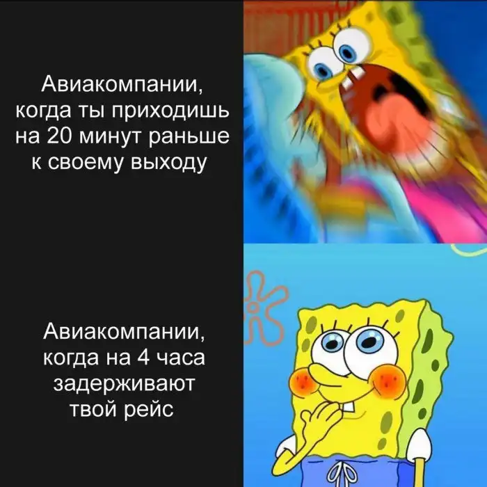 Закон Мёрфи в действии: всё об авиаперелётах