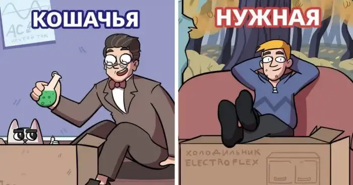 Забавная классификация коробок, которая есть в каждом доме