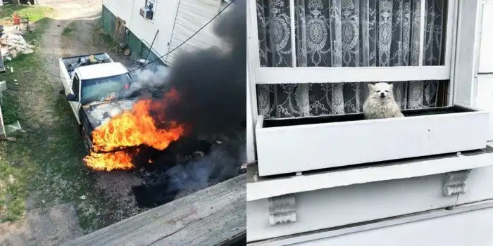 Операция «Соседи»: испытание психики на прочность