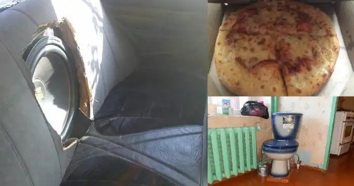 Мастера на все руки, которые вас точно удивят