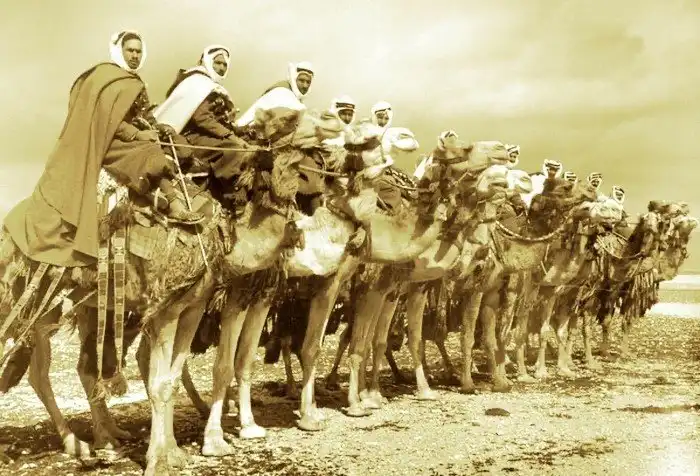 Верблюжья кавалерия: насколько эффективной она была в бою?