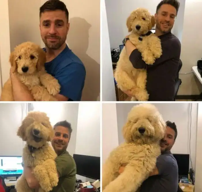 20 поразительных сравнений, которые демонстрируют огромную разницу