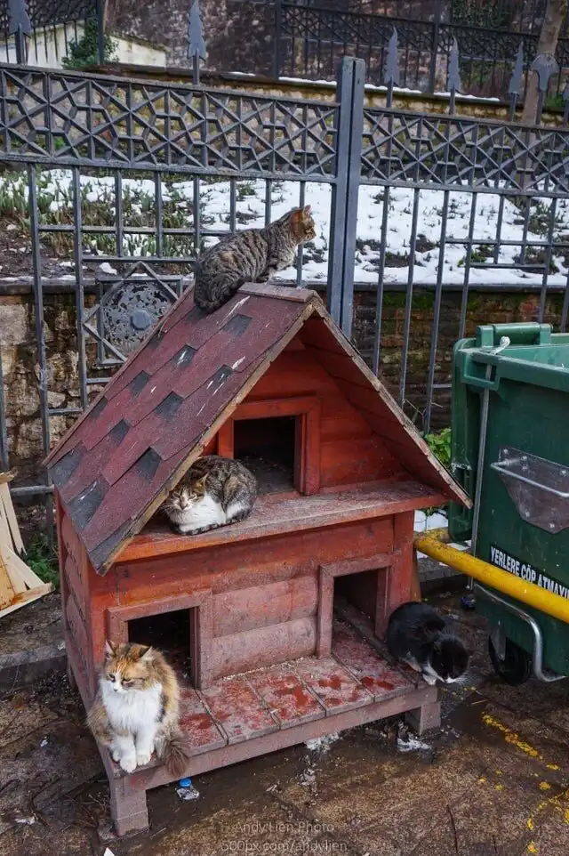 15 фотографий из Турции, которые покажут её с другой стороны