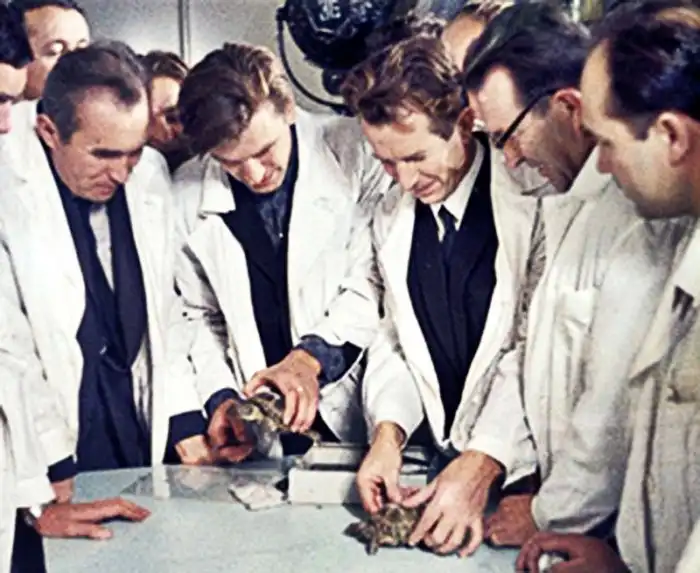 Степная черепаха: Первое позвоночное, летавшее на луну. Почему же советские ученые выбрали именно этот вид?