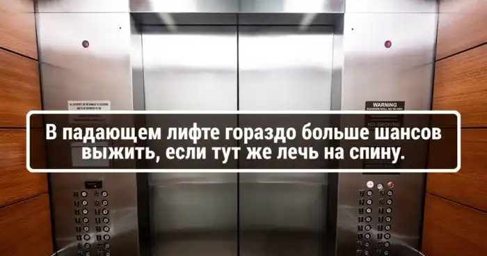 20 полезных советов по выживанию для самых осторожных