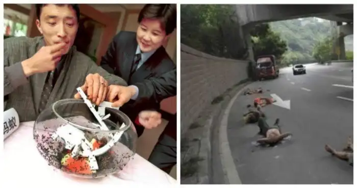 18 сногсшибательных фишек, которые можно увидеть только в Китае