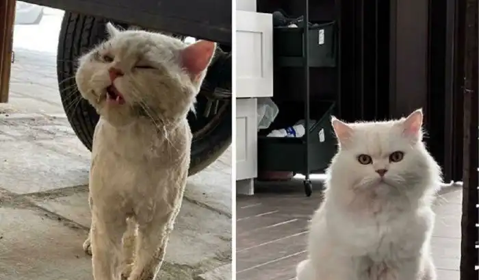 Необычные сравнения, которые точно не приходили вам в голову