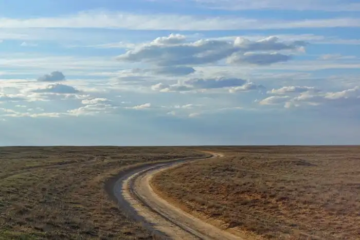 Экосистема степи: Звери этих мест выживают без воды, едят ядовитые растения и терпят перепад температур в 100 градусов!