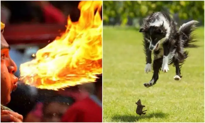 20+ снимков, сделанных в самый нужный момент