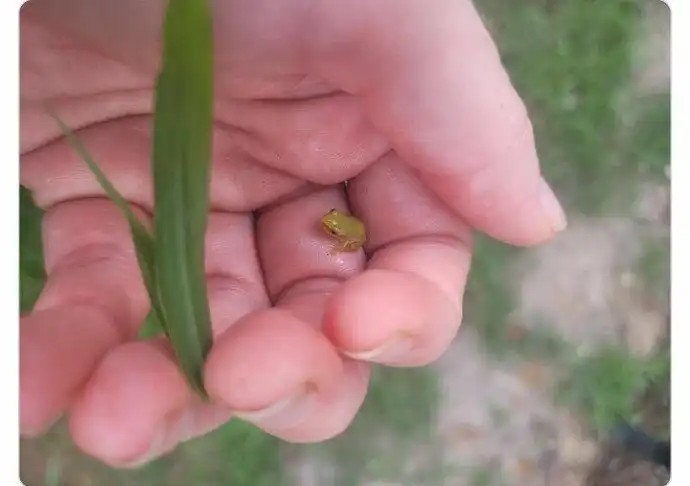 30 фото - поднимателей настроения