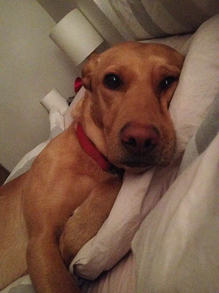 35 человек, которые что-то забыли и поделились забавными последствими