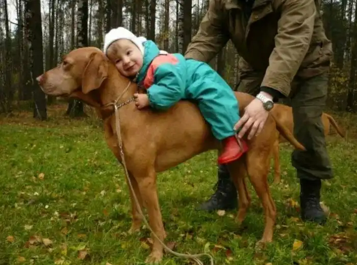 Люди умеют не только разрушать! 3 примера гуманной добычи ресурсов, которые не вредят экосистеме и полезны для нас