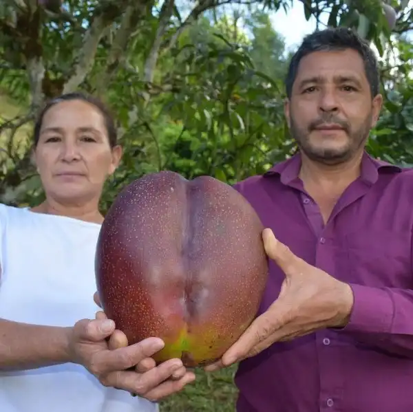 Подборка странных и впечатляющих рекордов Гиннесса