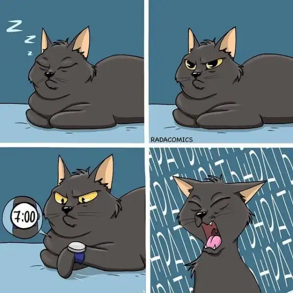 Забавный комикс от художницы, которая живет с двумя котами и собакой