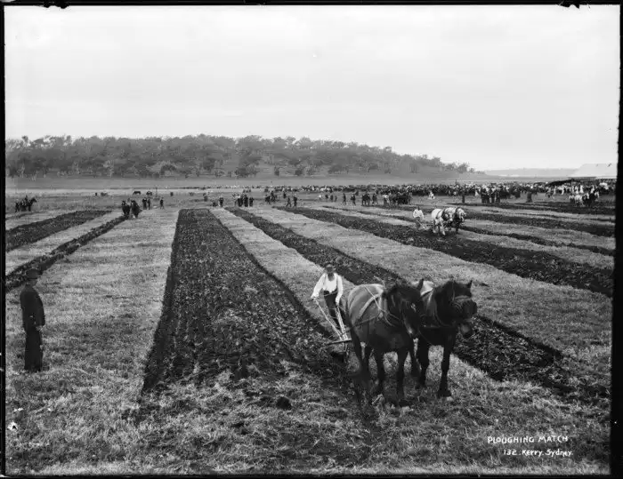 Как выглядели в прошлом различные профессии