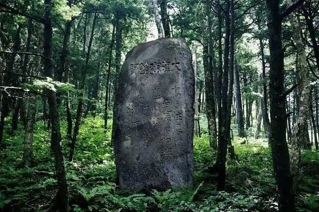 15 любопытных фотографий занимательных редкостей