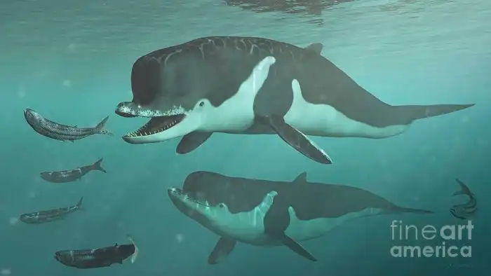 Акрофизитёр: Жуткий кашалот с «улыбкой Джокера». Стай этих охотников мог бояться даже мегалодон