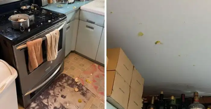 Повара-любители показали свои ошибки