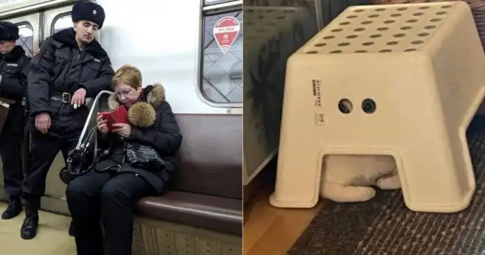 Паранойя снова разыгралась: всё о слежке