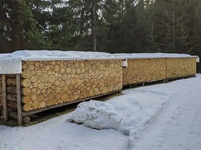 25 случайных совпадений, которые близки к совершенству