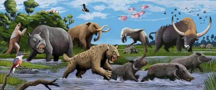 Ксеносмил: Древний кот размером с медведя охотился с особой жестокостью. Всё из-за странных зубов с зазубринами