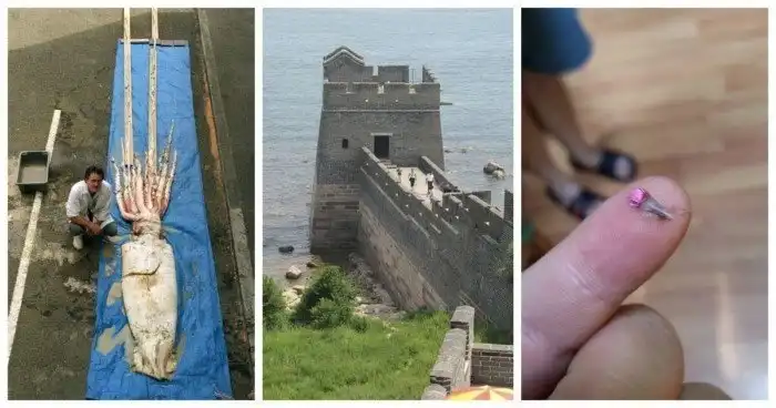 20 интересных картинок и фактов обо всём на свете