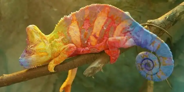 Масоны, рептилоиды и плоская Земля: 10 самых безумных теорий заговора